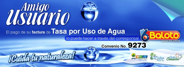 Imagen_11