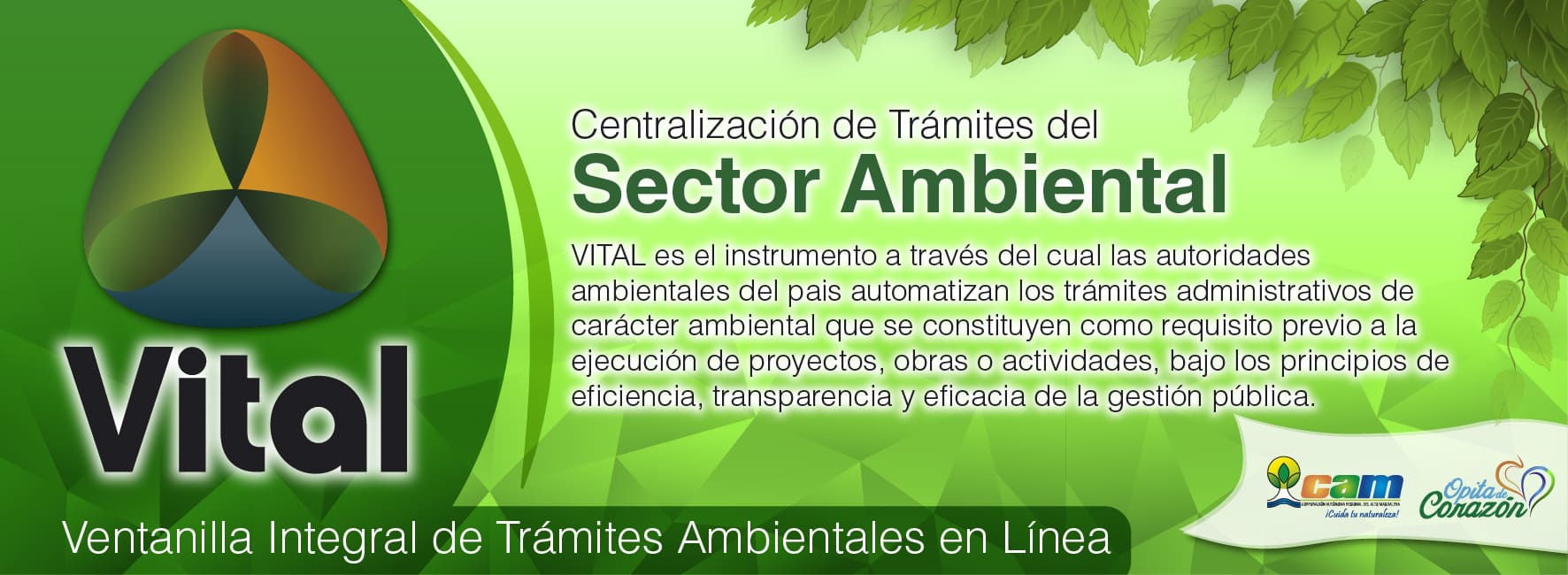 Imagen_1