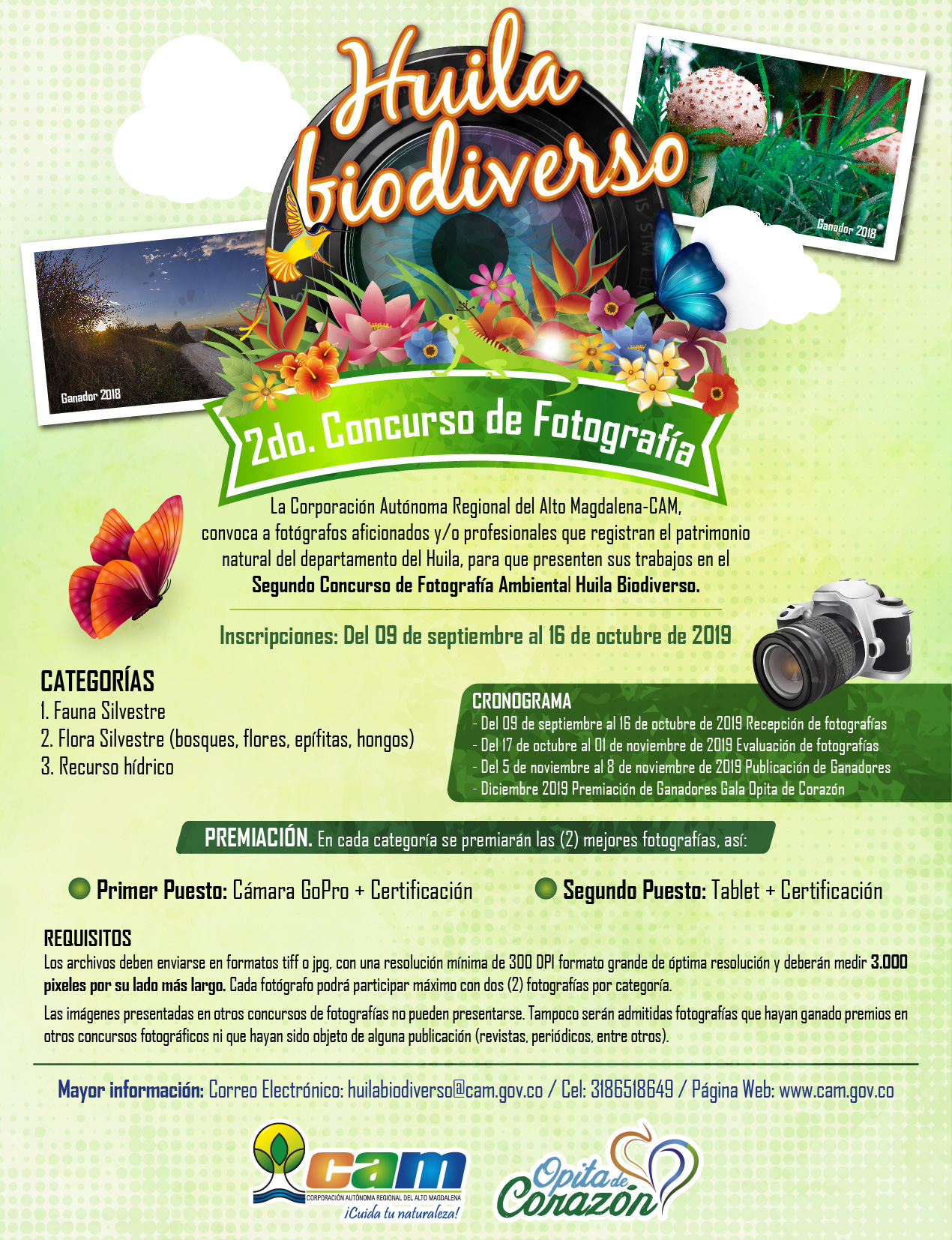 CONCURSO DE FOTOGRAFIA 2019 02