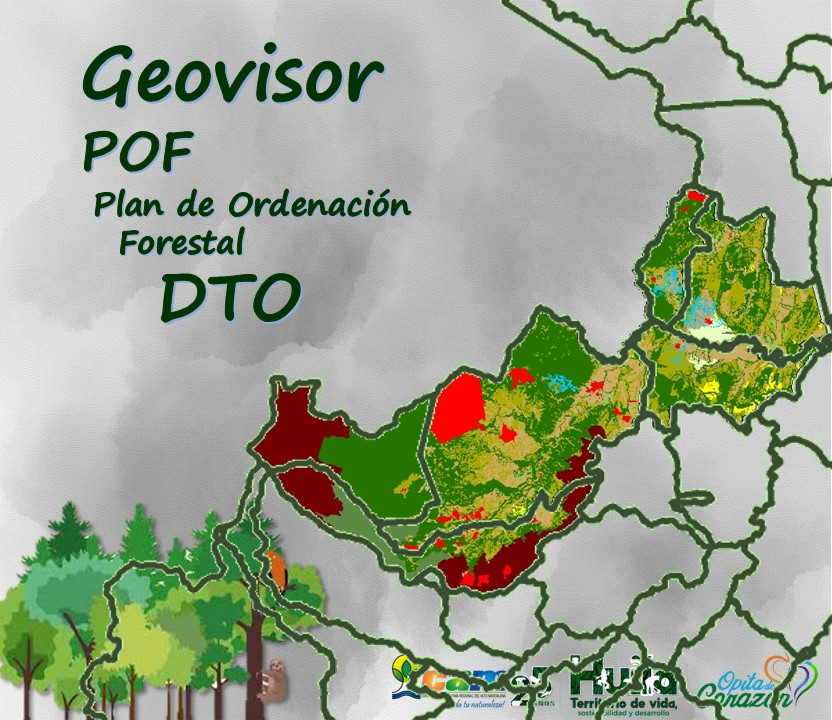DTO POF