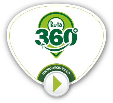 BOTONES VIDEOS NV 25