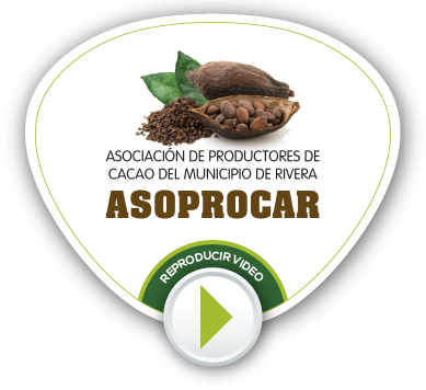 BOTONES VIDEOS NV 35