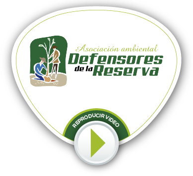 BOTONES VIDEOS NV 38