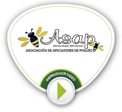 BOTONES VIDEOS NV 47