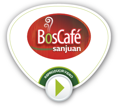 BOTONES VIDEOS NV 49
