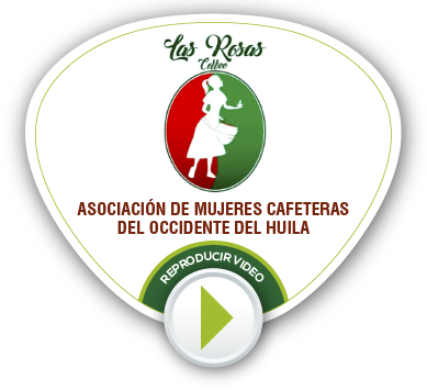 BOTONES VIDEOS NV 02