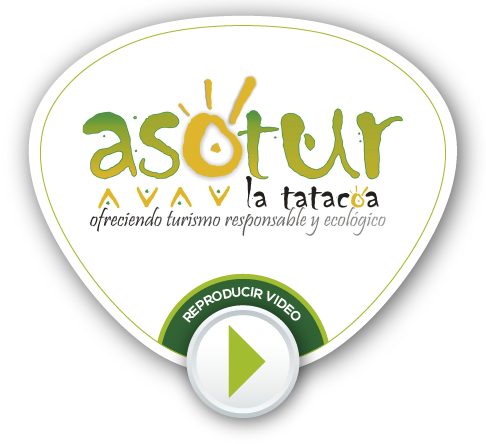 BOTONES VIDEOS NV 2021 04