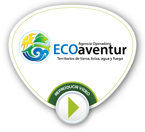 BOTONES VIDEOS NV 2021 06
