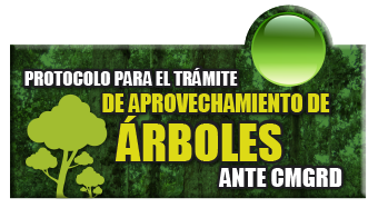 Protocolo para el tramite de aprovechamiento de arboles