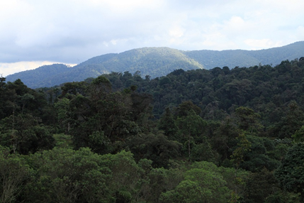 naturaleza