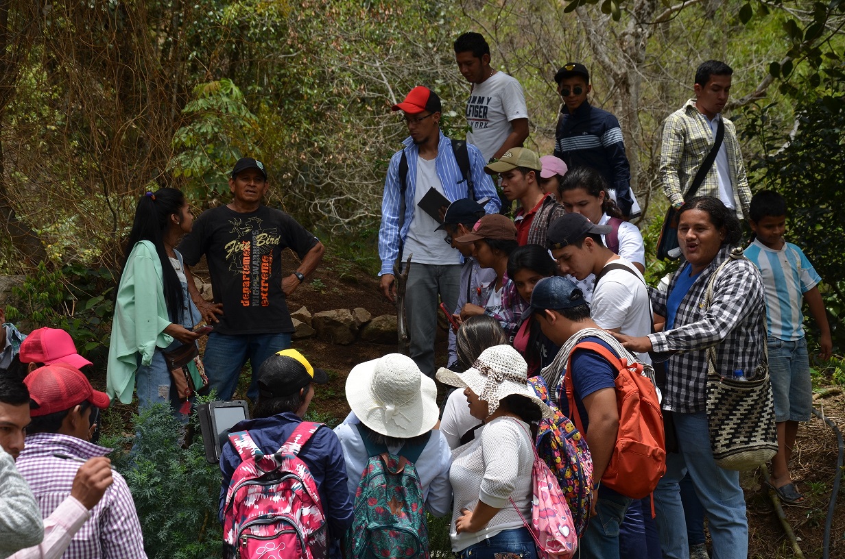 estudiantes ceibas
