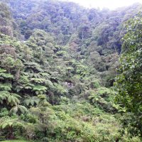 reserva_natural_el_cedro1