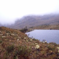 Macizo Colombiano