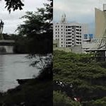 Parque Isla