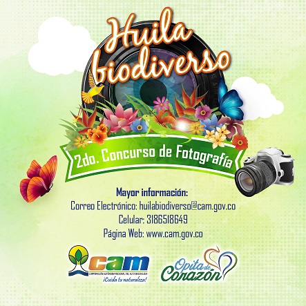 CONCURSO DE FOTOGRAFIA 2019 03