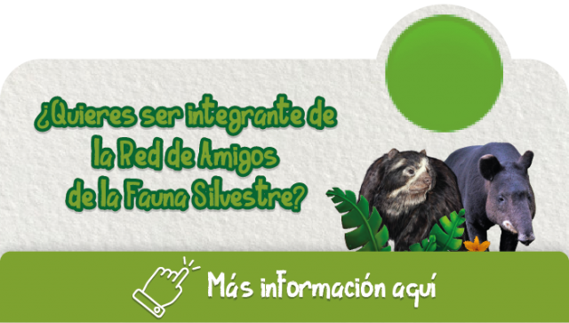 Red Amigos de la Fauna